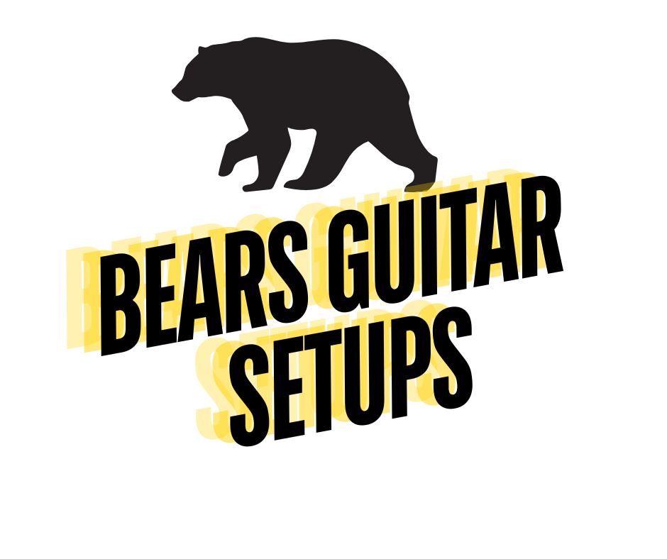 Bear Guitar Setups: Expert guitar repair in Swansea UK